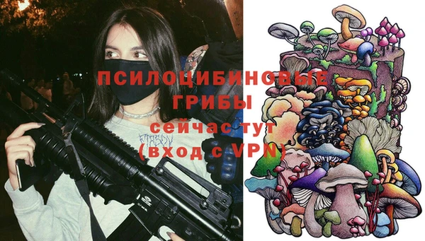 не бодяженный Зерноград